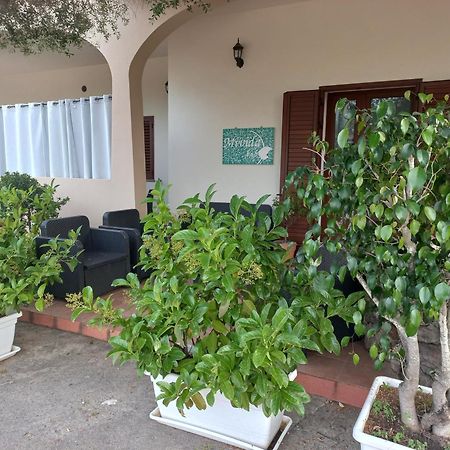 Mivida "Le Stanze Di Ada" San Teodoro (Sardinia) Exterior foto