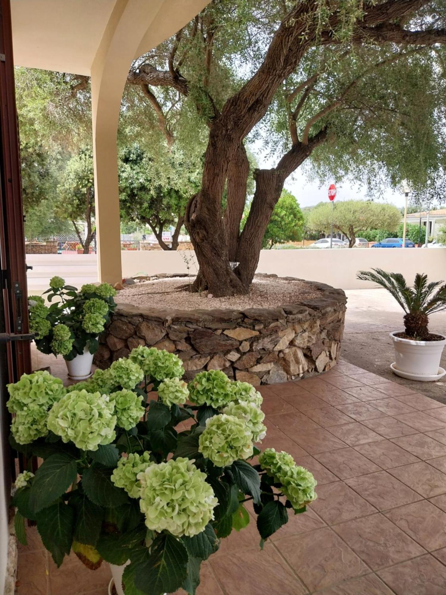Mivida "Le Stanze Di Ada" San Teodoro (Sardinia) Exterior foto